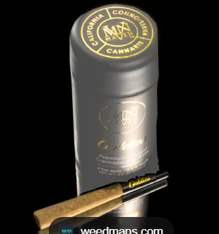 Marijuana Maven - Maven - Preroll - Infused - 5pk - New Money Main Image