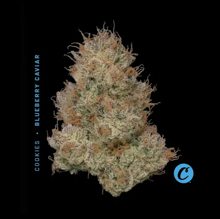Cookies - Cookies Blackberry Caviar - 7g Main Image