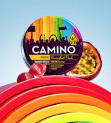 CAMINO | PRIDE PASSIONFRUIT PUNCH - 10PK | EDIBLE | 100MG