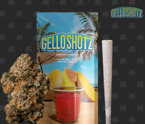 Seed Junky - Seed Junky - Preroll - 4pk - Gello Shotz - 4g Main Image