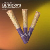Ghost Train Haze Lil' Ricky's (S) 00960