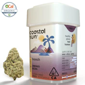 Coastal Sun Flower 7g - Hooch 28%