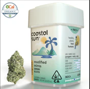 Coastal Sun Flower 7g - Modified Mints 29%