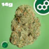 Product Preview Image 1