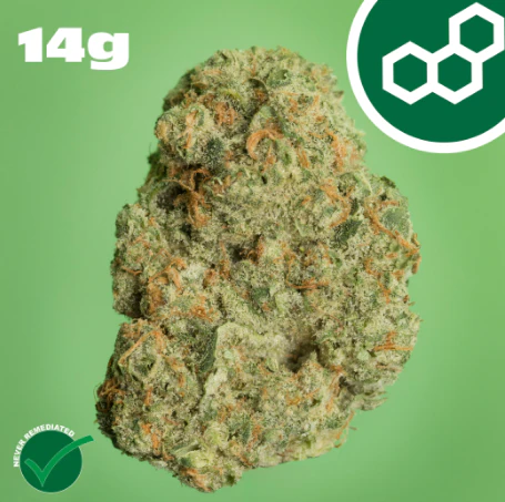 Theraplant - Permanent Marker 14g 41960 Main Image
