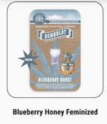 Humboldt Seed Company Blueberry Honey 3 pack Feminized