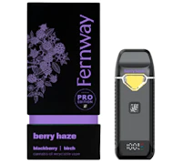 Berry Haze 2g AIO - Sativa | Fernway