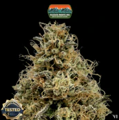 Dime Bag | Mary | 1g