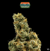 Rugged Reserve | GMO | 3.5