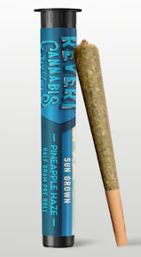 Revert | Pre Roll | Pineapple Haze | .5G