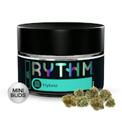 CREAMSICLE SUNSET FLOWER - RYTHM - 7g