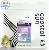 Chem Kardashian - 14g (SH) - Coastal Sun