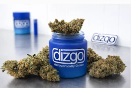 Top Gun - Preroll - .5g - 2ct - Dizgo