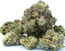 TWIC3 BAK3D | EVERYTHING BAGEL | 3.5g Jar | INDOOR FLOWER