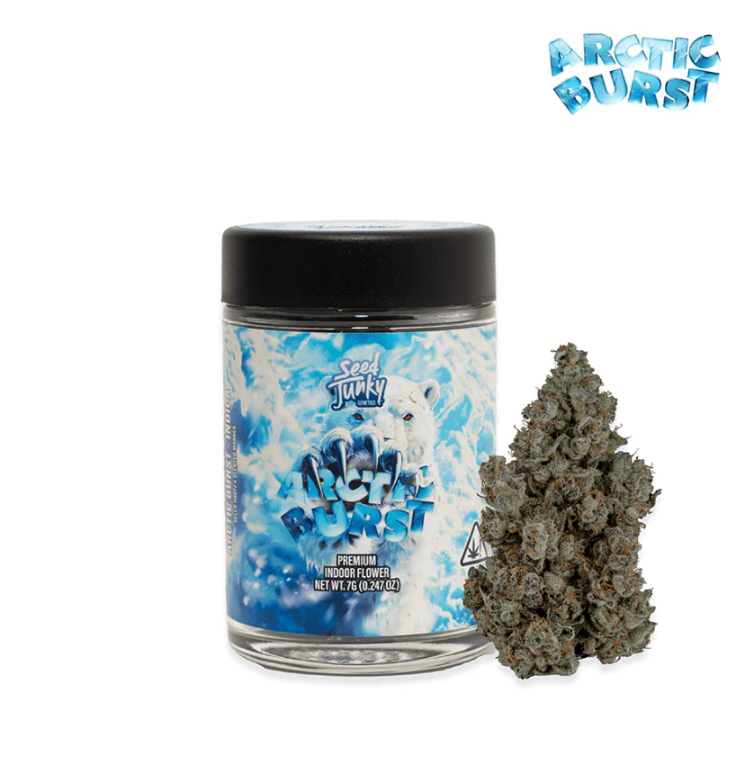 Seed Junky Genetics - Seed Junky Genetics - 7g Bigs - Arctic Burst Main Image
