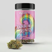 Ganjeez Rainbow Runtz 14G