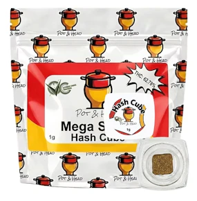 Pot & Head | concentrate | Mega Squirt | 1G | Hash Cube |
