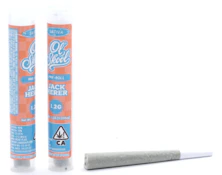Ol' Skool - Jack Herer - Preroll - 1.2g