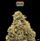 Flower | Rainbow Driver