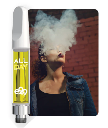 E29 Labs - Sour Diesel - 1G All Day 510 Cartridge Main Image