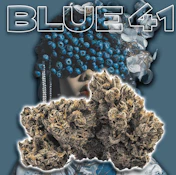 Green Dragon 3.5G Blue 41 Indoor Flower
