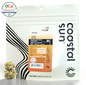 Coastal Sun Flower 14g - Banjo 29%
