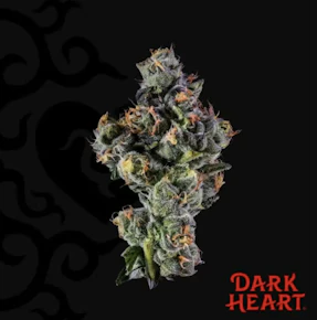 Dark Heart | Sugar Kushions | 3.5g