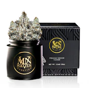 Maven Genetics - 3.5g - FKAFL