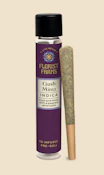Florist Farms - Gush Mints -  Live Resin Infused - Preroll - 1g