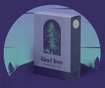 Kind Tree | White Iverson Live Resin Disposable | 1g