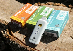 HIMALAYA | OIL SPILLZ SAUCE - AIO | CARTRIDGE | 1G