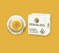 HIMALAYA | MANGO LEMON HAZE LIVE RESIN | EXTRACT | 1G