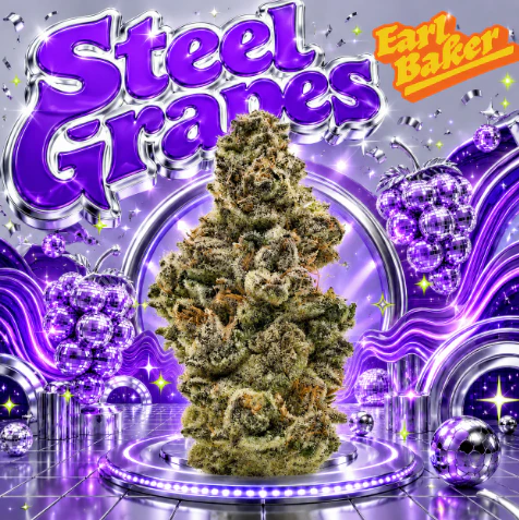 Earl Baker - Steel Grapes 3.5 Jar 0124 Main Image