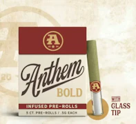 Anthem Bold - Jack Herer - Glass Tip Infused Prerolls - 2.5g 5pk