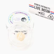 PUNCH 1G Hashburger TIER 3 Cold Cure Rosin Badder