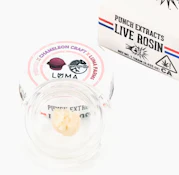 PUNCH 1G Pretty Patties TIER 3 Cold Cure Rosin Badder