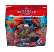 SOMA ROSA | GEORGIA CREAM | FLOWER | 3.5G