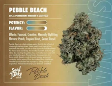 Pebble Beach - 1g (S) - Seed Junky
