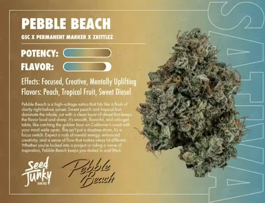 Seed Junky - Pebble Beach - 1g (S) - Seed Junky Main Image