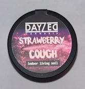 Strawberry Cough - Dayzed - 3.5G Flower