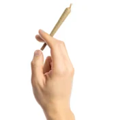 Coastal Roots | Strawneapple | 1g Pre-Roll | 1-Pack | 1g Total | [H]