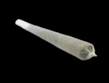 Find | Preroll | Paw Paw | 1G