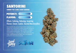 Santorini - 7g (H) - Seed Junky