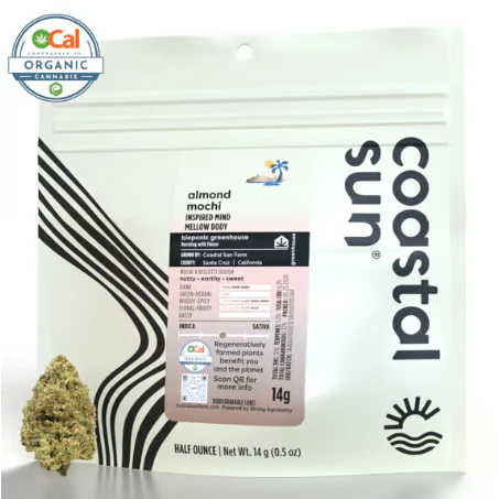 Coastal Sun - Almond Mochi - 14g (H) - Coastal Sun Main Image