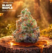 Black Maple Flower (I) 01004
