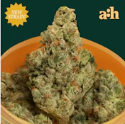 all:hours Sour Zoda 42068