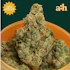 Product Preview Image 1