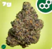Product Preview Image 1