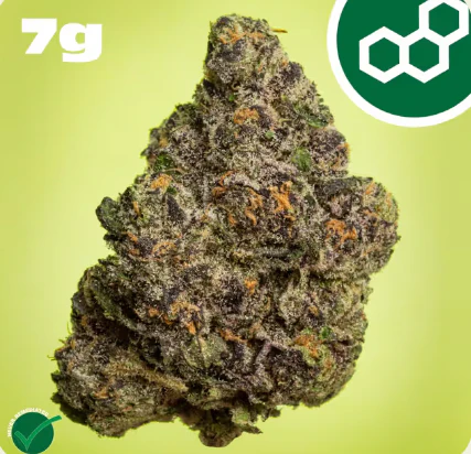 Theraplant - Permanent Marker 7g 41484 Main Image