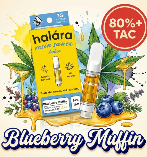 Halara - Blueberry Muffin - Live Diamonds Sauce - 1g (I) - Halara Main Image